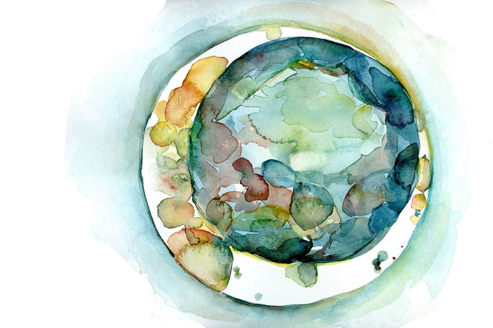 pintura de un embrión, que presenta el curso en Fertilidad de proyecto natal.com.ar